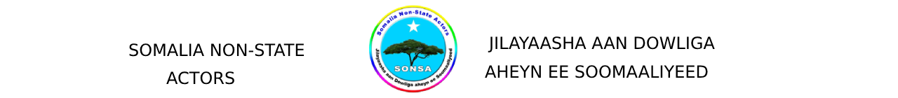 SONSA Logo